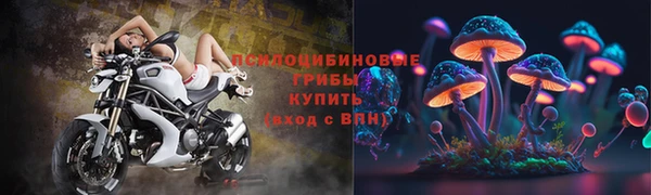 бошки Алексеевка