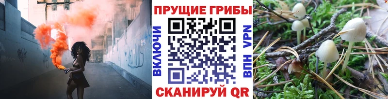 Псилоцибиновые грибы GOLDEN TEACHER Анжеро-Судженск