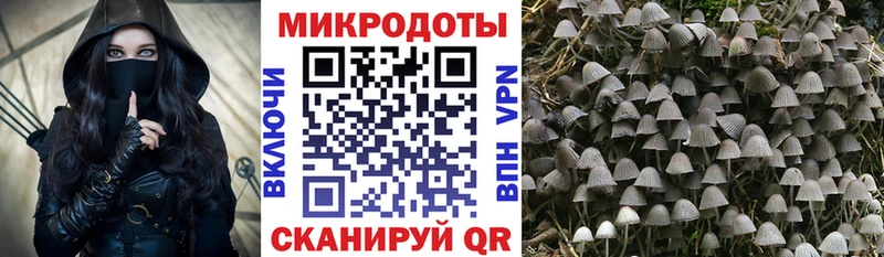 Галлюциногенные грибы мицелий  Купить закладки  Анжеро-Судженск 